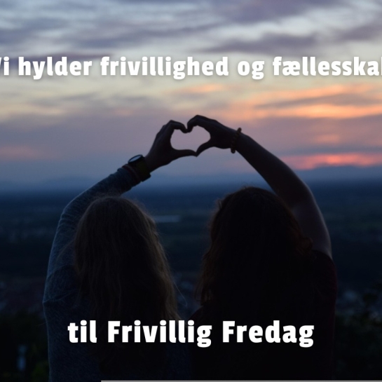 Frivillig Fredag
